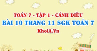 Bài 10 trang 11 SGK Toán 7 tập 1 Cánh Diều
